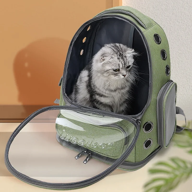 Olive green cat backpack, front window open, a grey tabby cat sitting inside